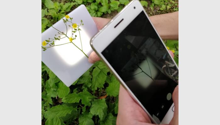 油菜、樹(shù)枝等的分枝角、水稻小麥等的莖葉角是作物表型基本參數(shù)，其人工測(cè)量獲取工作繁重。萬(wàn)深SC-K1型植物分支角自動(dòng)測(cè)量?jī)x利用機(jī)器視覺(jué)智能識(shí)別技術(shù)來(lái)自動(dòng)批量化獲得精準(zhǔn)的枝角測(cè)量結(jié)果，為育種選材提供依據(jù)。