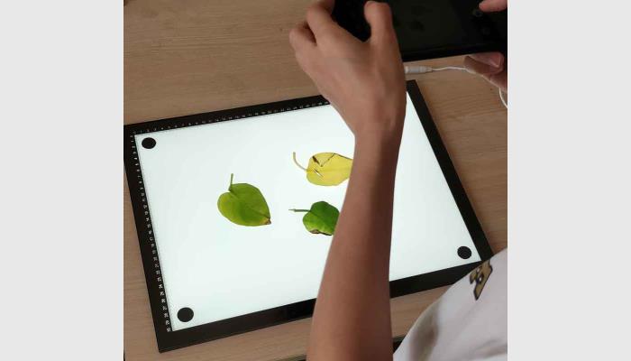 LA-M增強(qiáng)版手機(jī)版葉面積分析儀系統(tǒng)，葉面積儀，葉面積測(cè)量?jī)x，葉面積測(cè)定儀，便攜式葉面積儀,活體葉面積測(cè)量?jī)x。用于快速便捷地在野外分析測(cè)量原位的植物葉面積等。